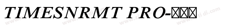 TIMESNRMT PRO字体转换